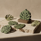 Monstera Leaf Coaster — Single or Set of 6 (Plant-Lover Drink Coasters)