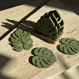 Monstera Leaf Coaster — Single or Set of 6 (Plant-Lover Drink Coasters)