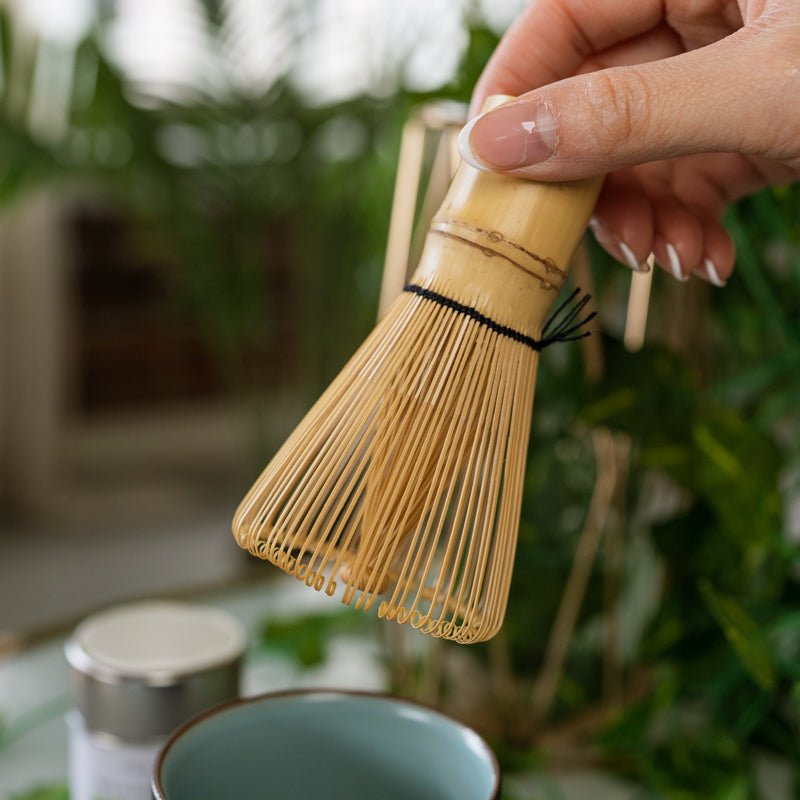 Chasen - Bamboo Whisk – DōMatcha
